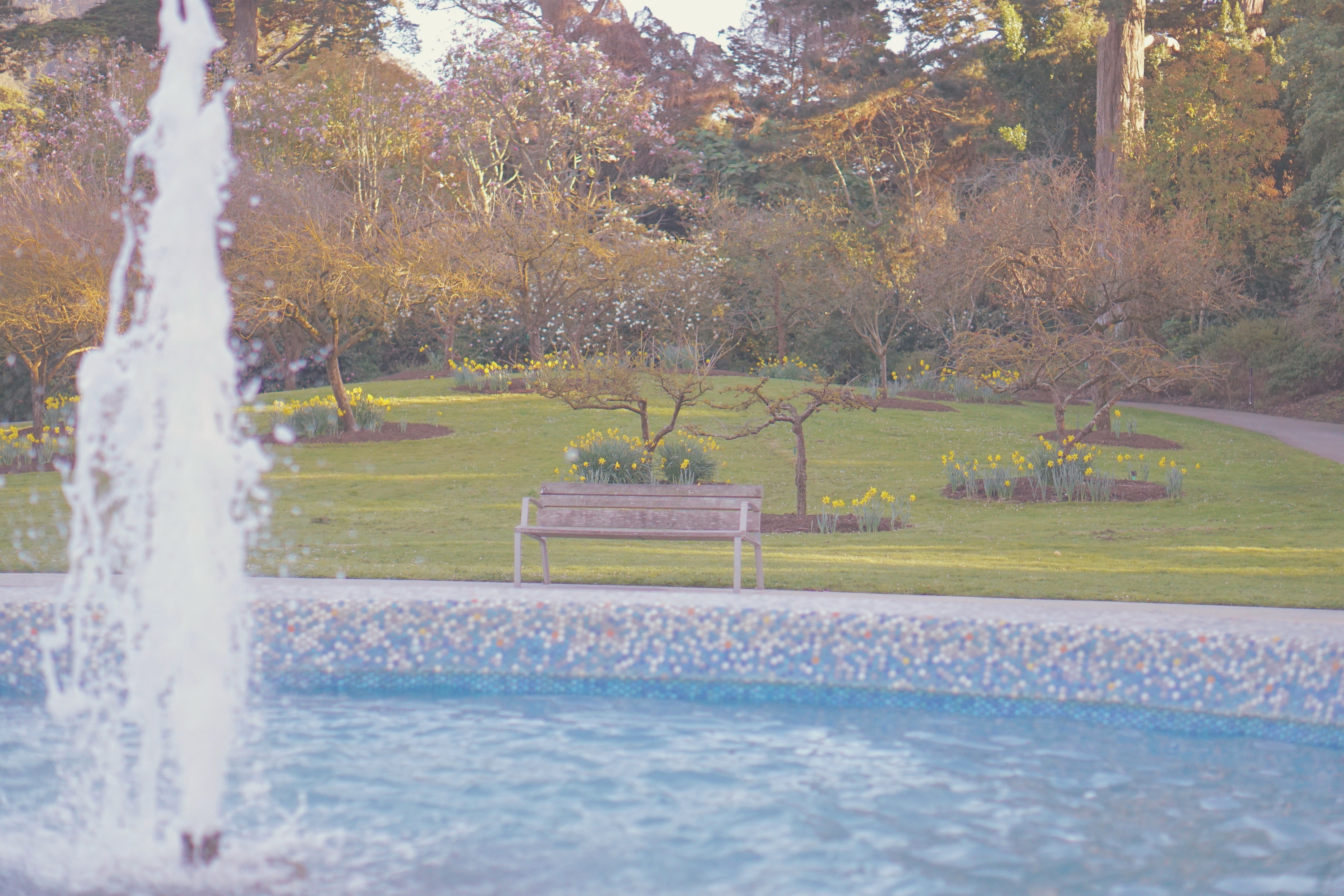 San Francisco Botanical Garden Slow Travel Slow Living emmehope.co copyright 2018