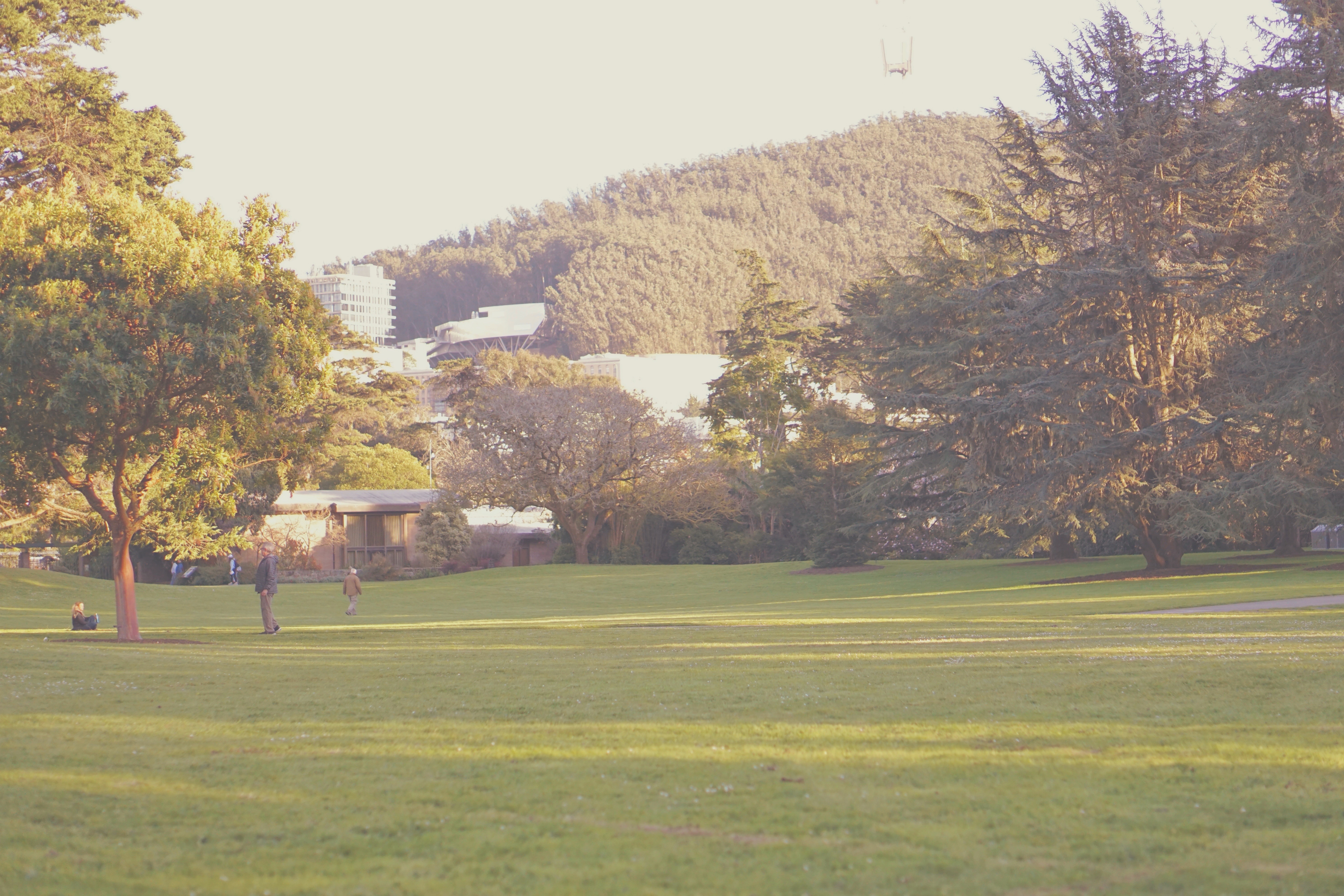 San Francisco Botanical Garden Slow Travel Slow Living emmehope.co copyright 2018