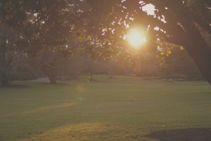 San Francisco Botanical Garden Slow Travel Slow Living emmehope.co copyright 2018