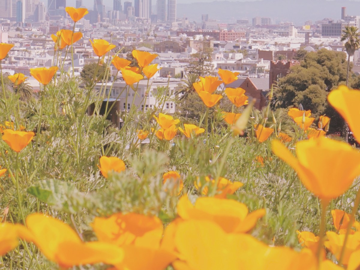 The Slow Tourist: Finding Balance in the Age of Trends and Bucket&nbsp;Lists