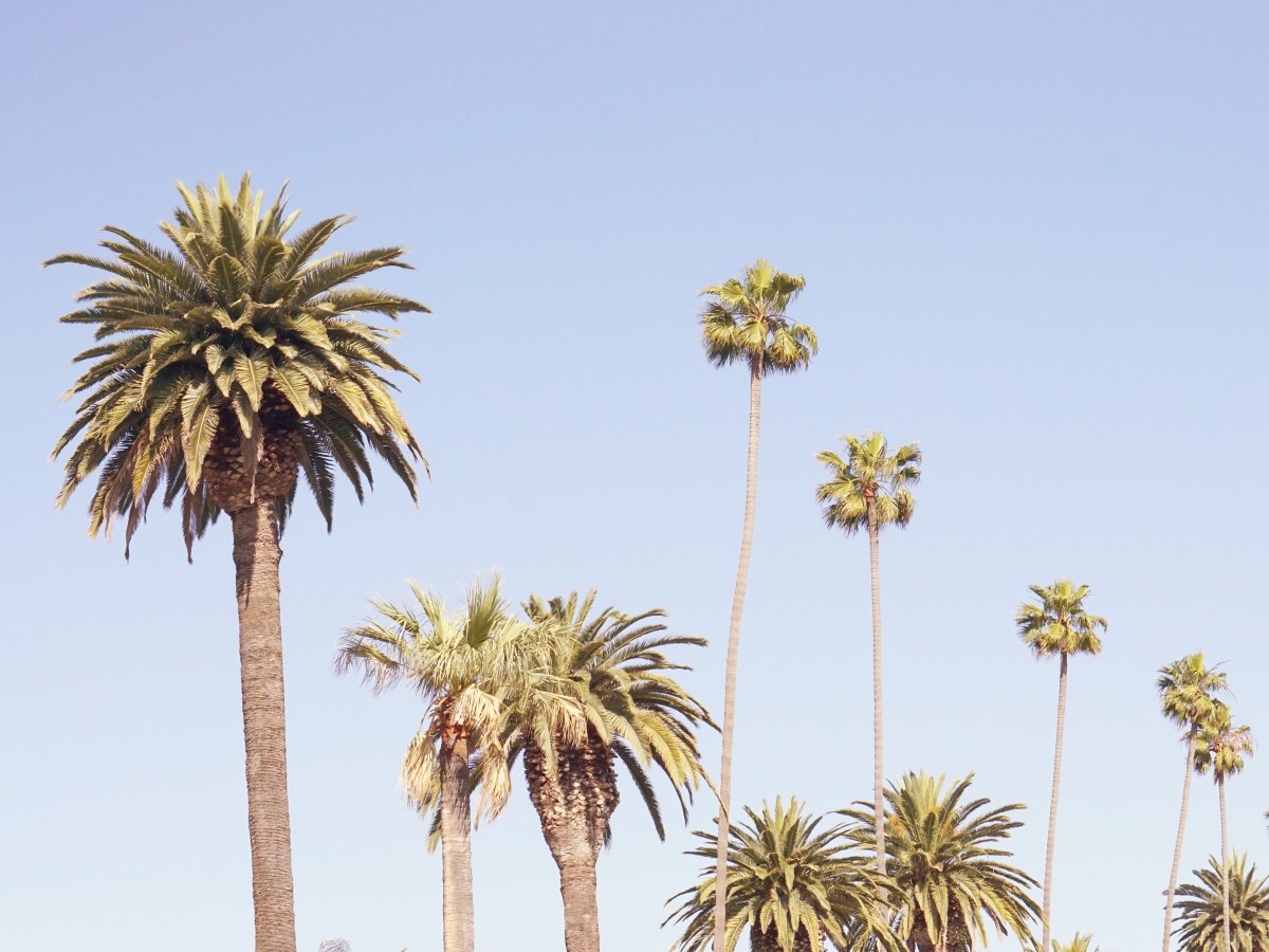 Slow Weekend Getaways: Las Vegas + L.A. +&nbsp;Portland