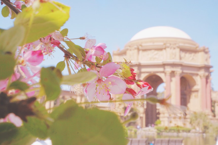 Palace of Fine Arts San Francisco California emmehope.co copyright 2018 - Slow Travel Slow Life