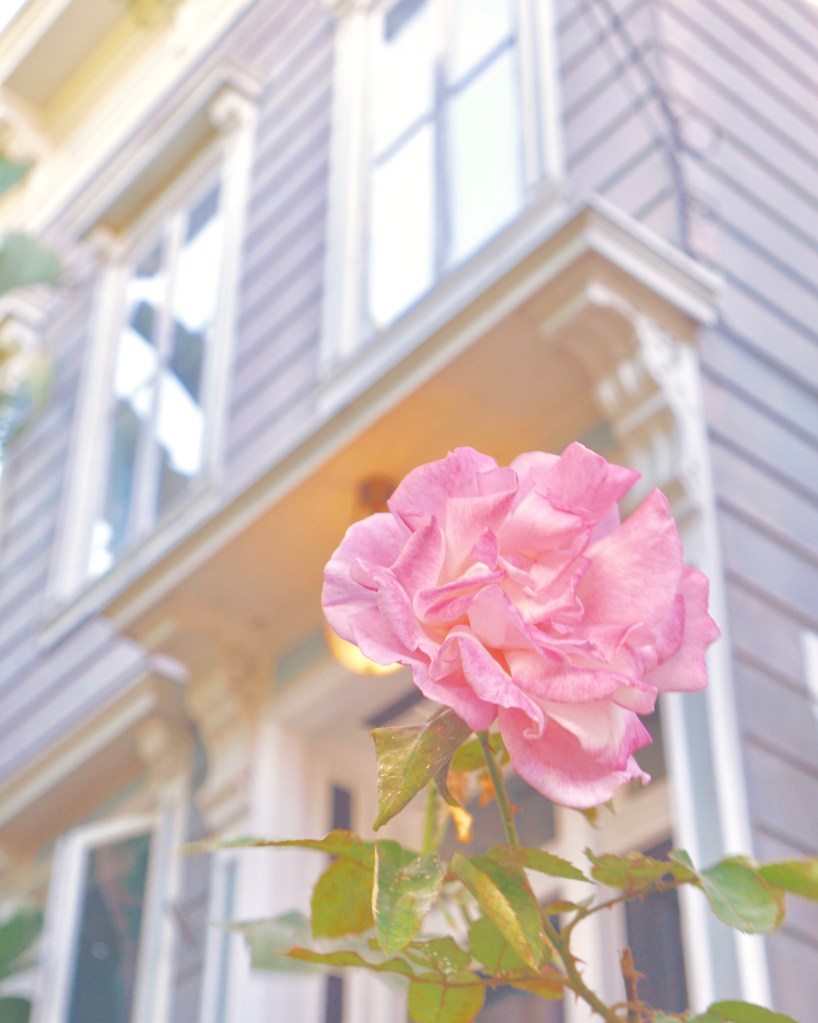 PASTEL HOMES - Mission District (The Mission) by Emme Hope Slow Blog San Francisco Slow Travel Slow Living - copyright 2019 emmehope.co