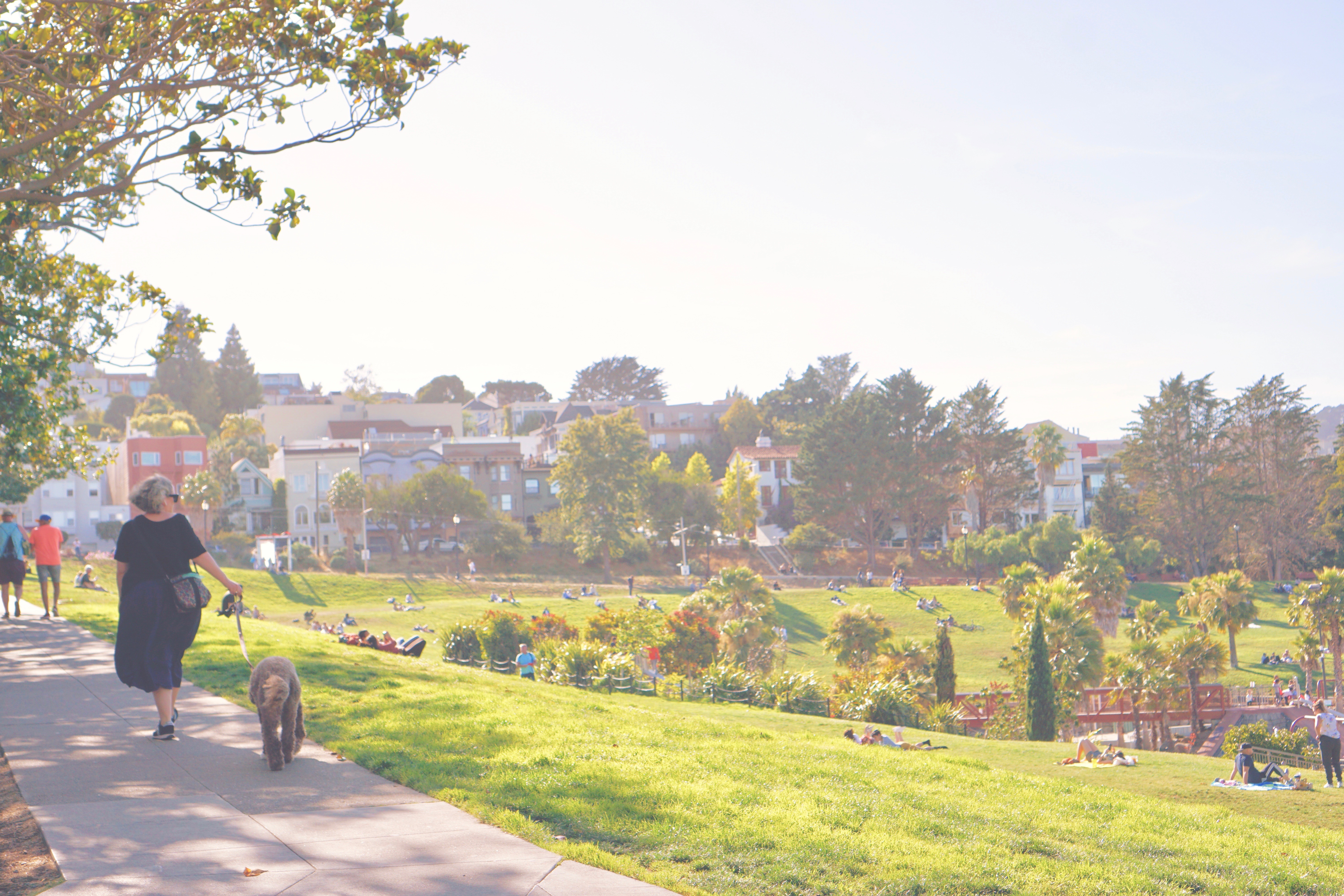 DOLORES PARK - Mindful Travel - Mission District (The Mission) by Emme Hope Slow Blog San Francisco Slow Travel Slow Living - copyright 2019 emmehope.co