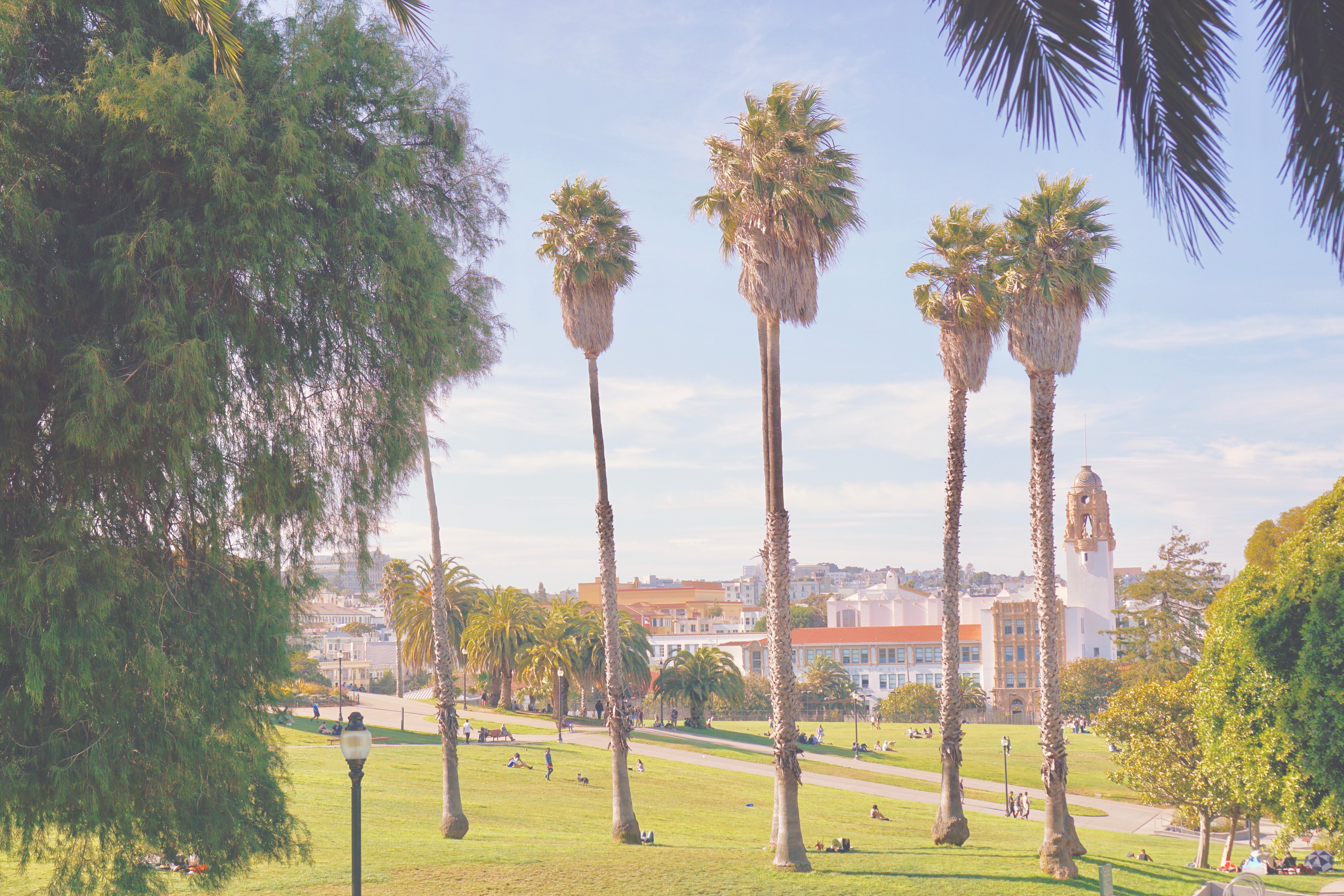 DOLORES PARK - Mindful Travel - Mission District (The Mission) by Emme Hope Slow Blog San Francisco Slow Travel Slow Living - copyright 2019 emmehope.co