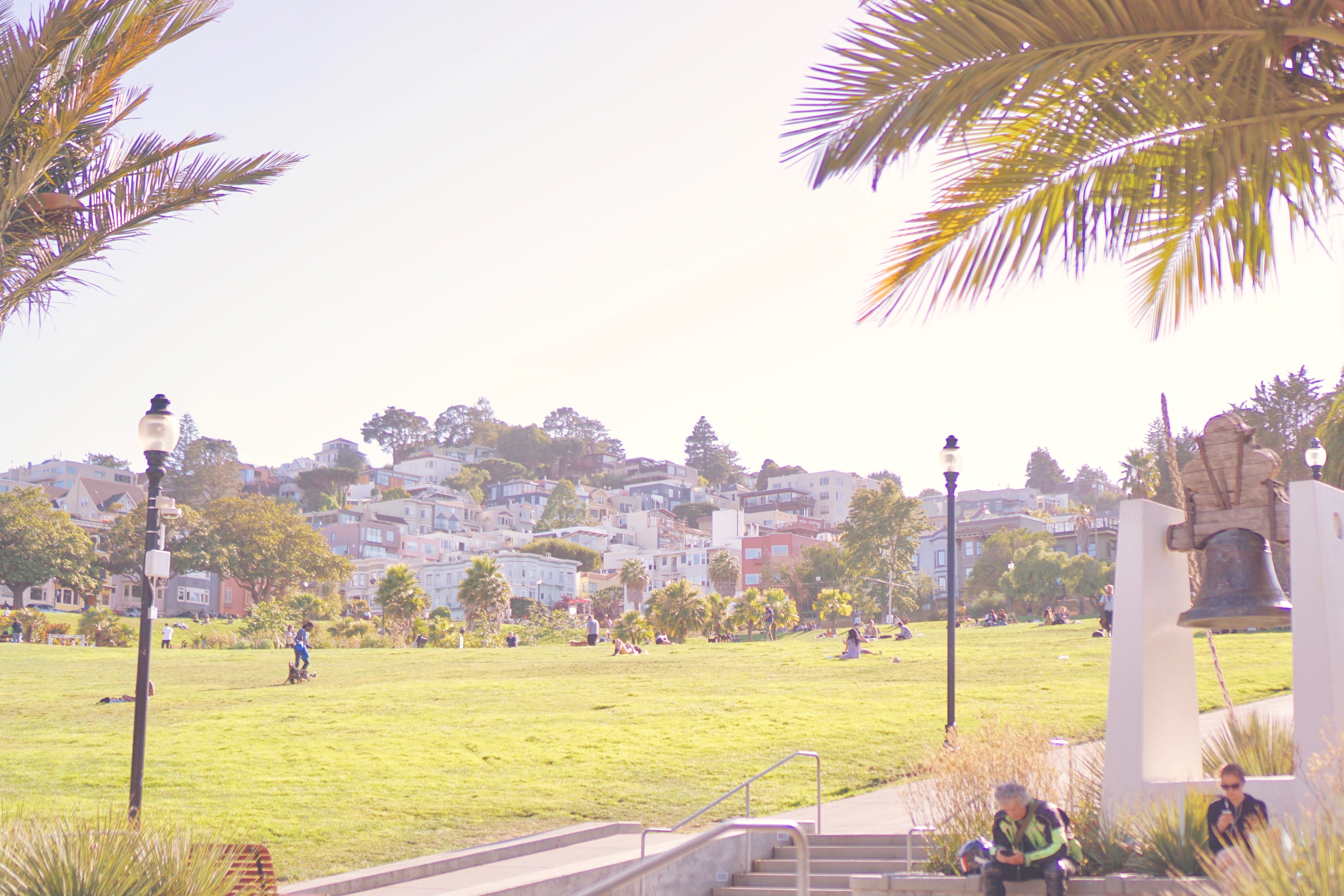 DOLORES PARK - Mindful Travel - Mission District (The Mission) by Emme Hope Slow Blog San Francisco Slow Travel Slow Living - copyright 2019 emmehope.co