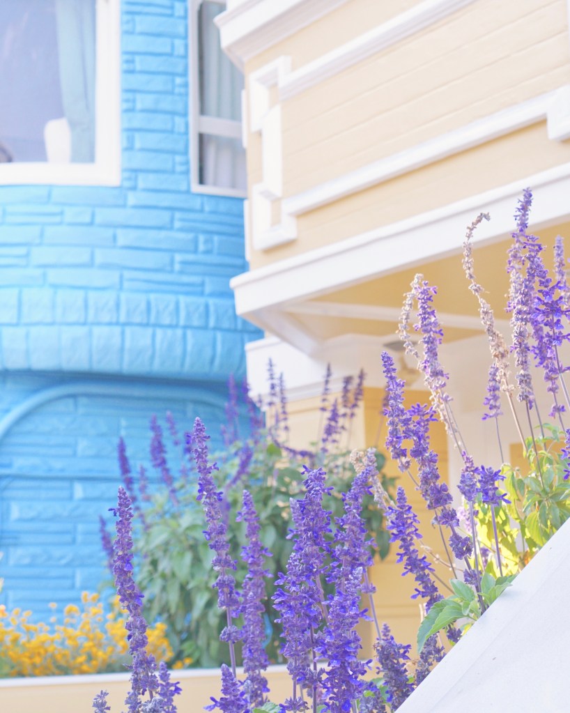 PASTEL HOMES - Mission District (The Mission) by Emme Hope Slow Blog San Francisco Slow Travel Slow Living - copyright 2019 emmehope.co