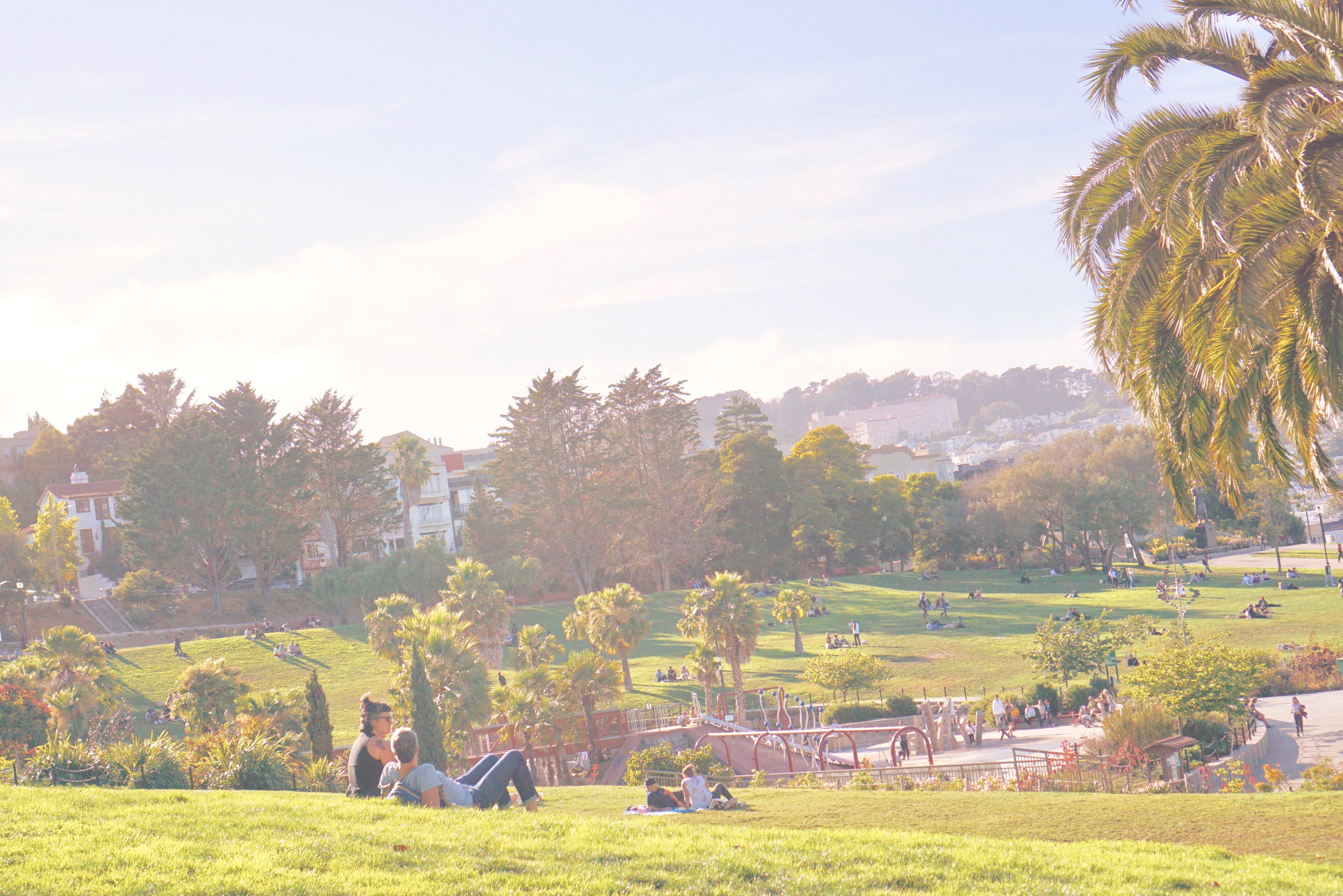 DOLORES PARK - Mindful Travel - Mission District (The Mission) by Emme Hope Slow Blog San Francisco Slow Travel Slow Living - copyright 2019 emmehope.co