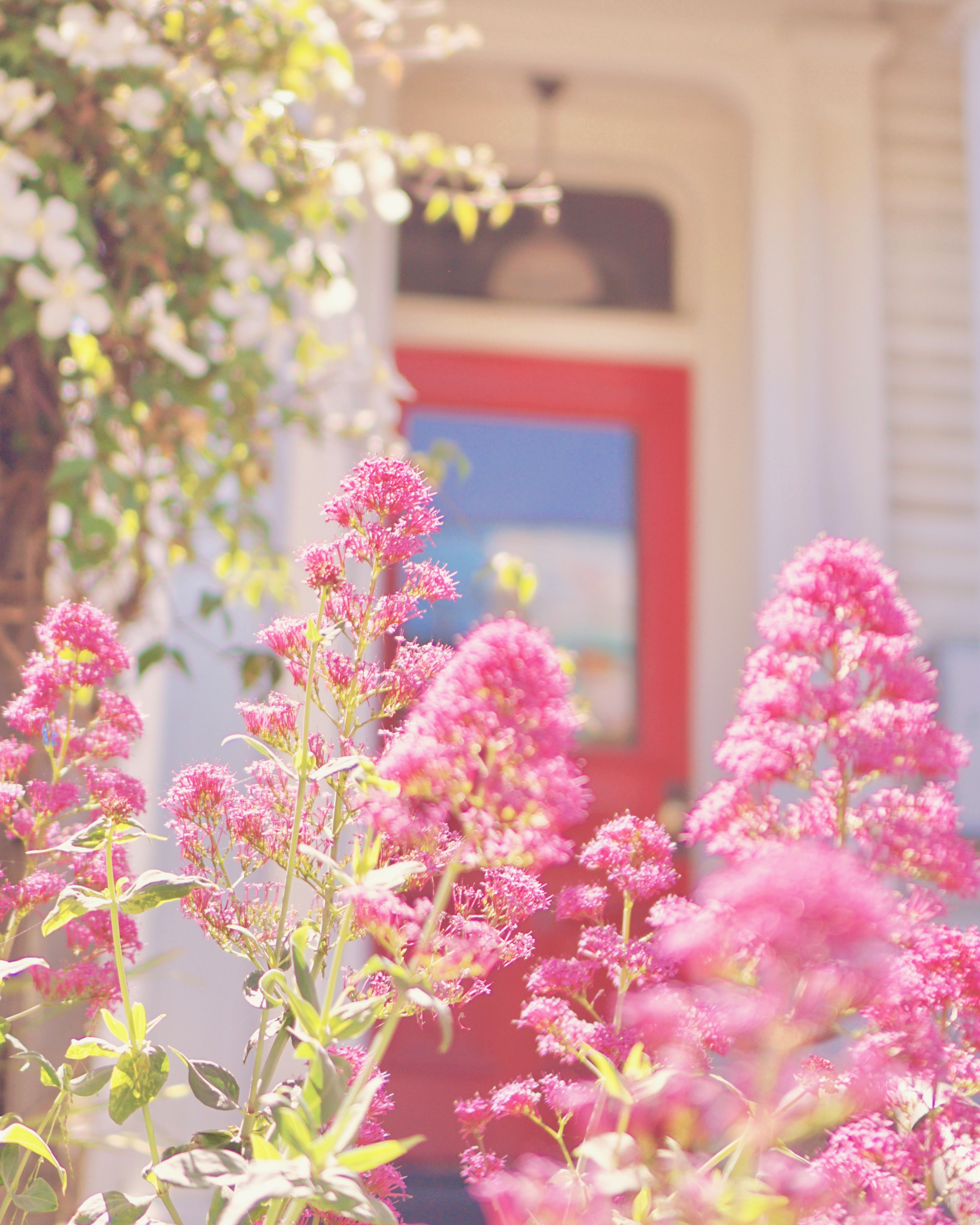 Mission District (The Mission) by Emme Hope Slow Blog San Francisco Slow Travel Slow Living - copyright 2019 emmehope.co