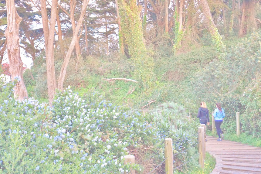 My Favorite Golden Gate Bridge Views by Emme Hope Slow Blog San Francisco Slow Travel Slow Living - copyright 2019 emmehope.co