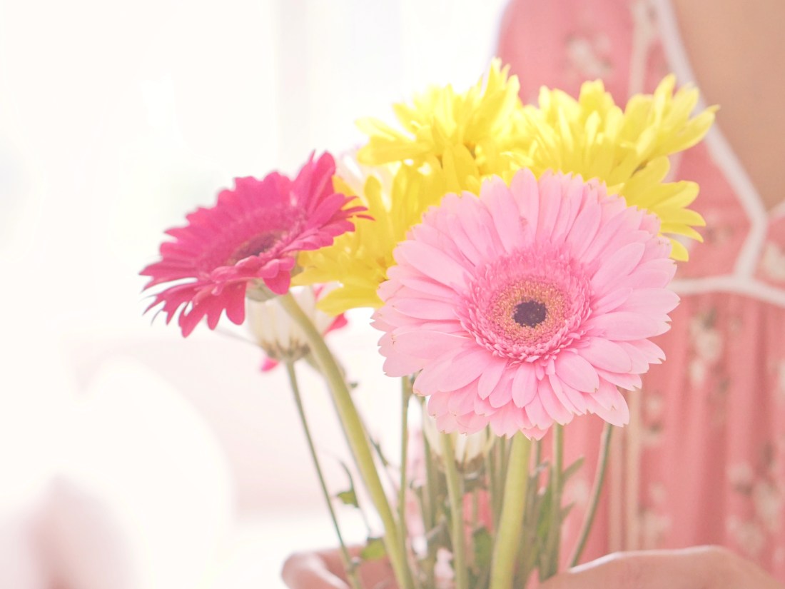 about emme hope slow life blog emmehopeco copyright 2020