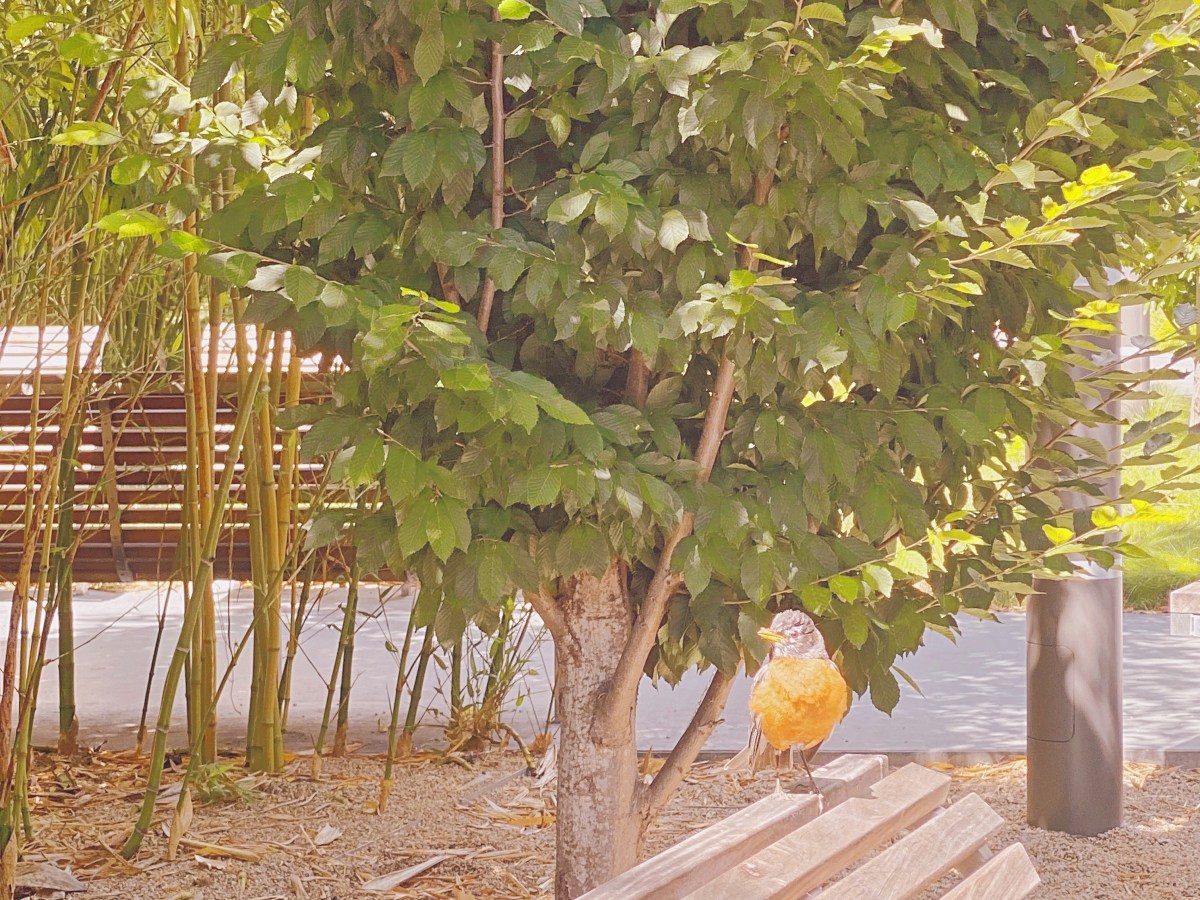 Staying Grounded in the Height of Tech and Social Media&nbsp;Culture